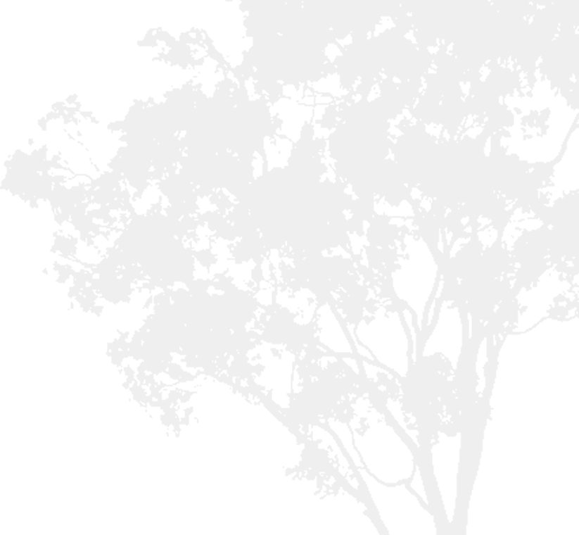 Baum 1