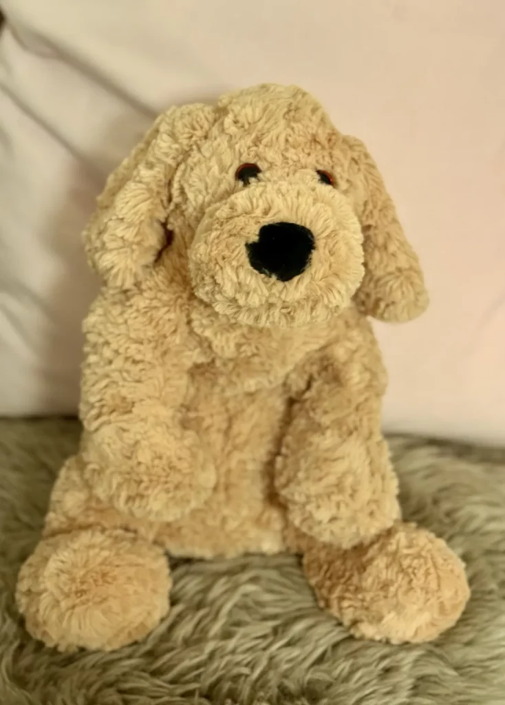 Fernheilung hund 2000px